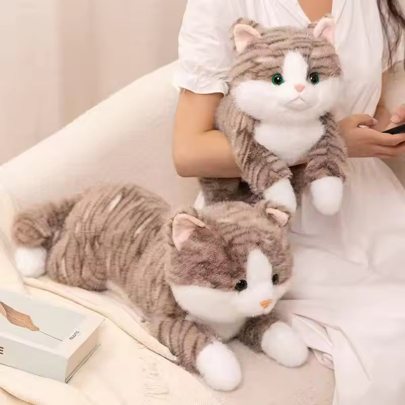 Katten Knuffelspeeltje
