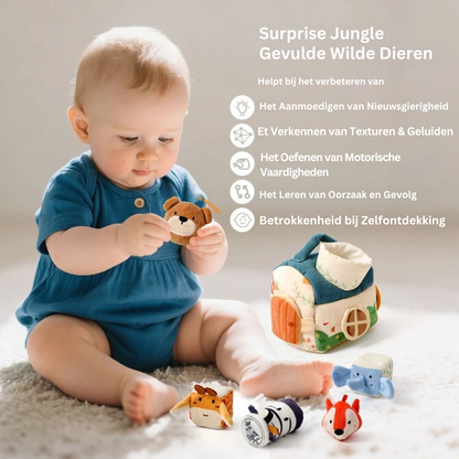Montessori Speelgoed voor Baby's