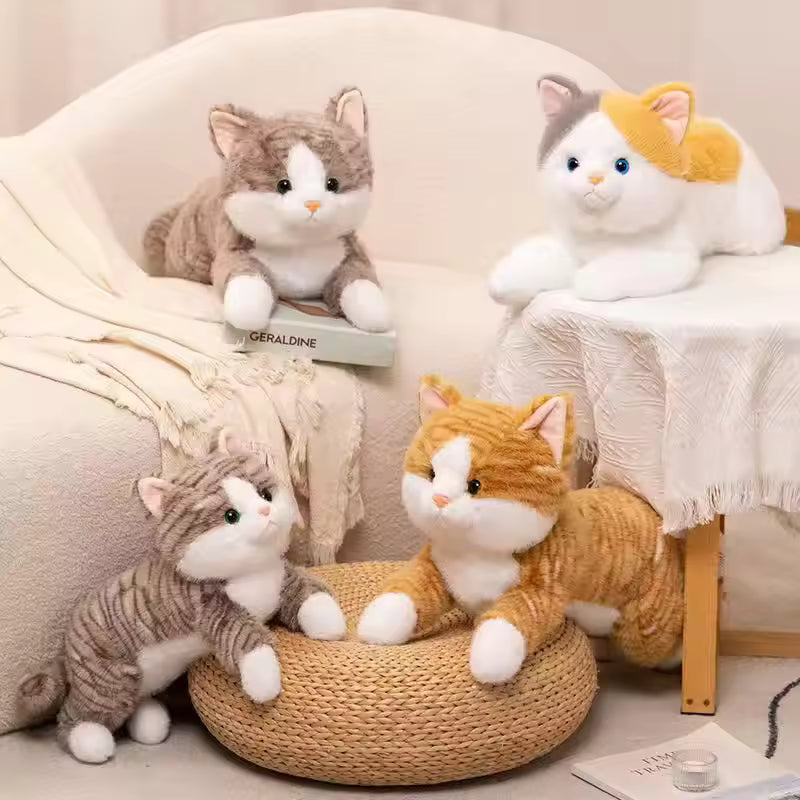 Katten Knuffelspeeltje