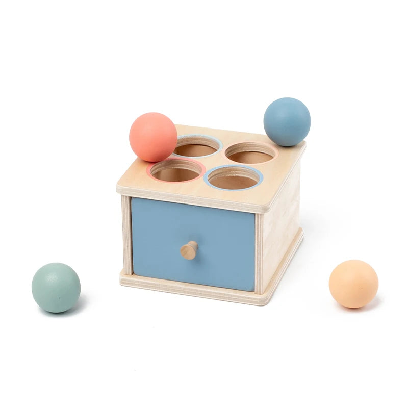 MiniVorm – Montessori Speelbox
