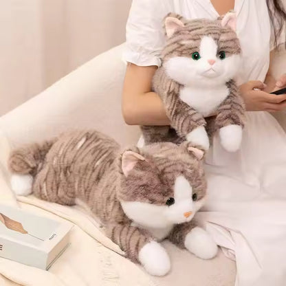 Katten Knuffelspeeltje