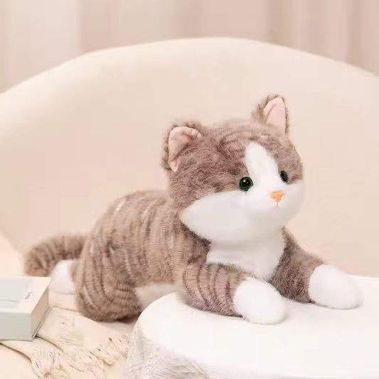 Katten Knuffelspeeltje