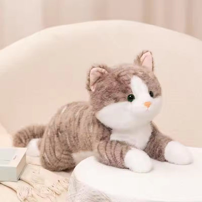 Katten Knuffelspeeltje