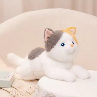 Katten Knuffelspeeltje