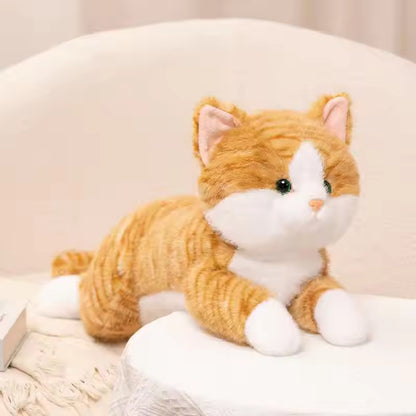 Katten Knuffelspeeltje