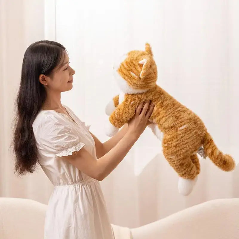 Katten Knuffelspeeltje
